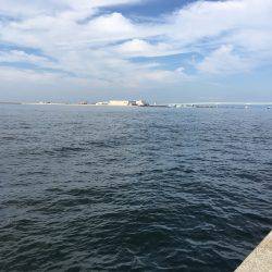 ツバス狙いのはずが