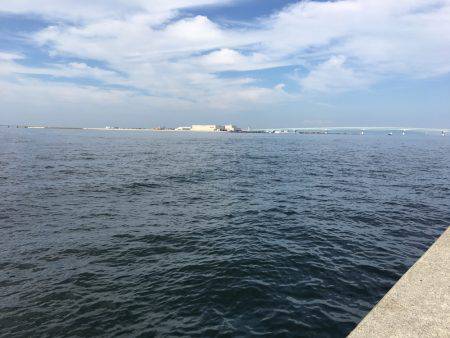 ツバス狙いのはずが