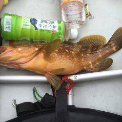 豊岡でカヤックフィッシング