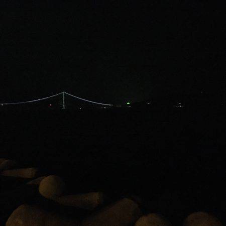 ケンサキではなくアオリ