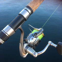 ギリギリお持ち帰りサイズ。