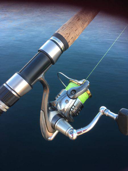 ギリギリお持ち帰りサイズ。