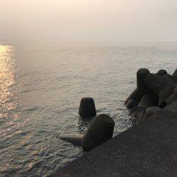 入野漁港周辺にて