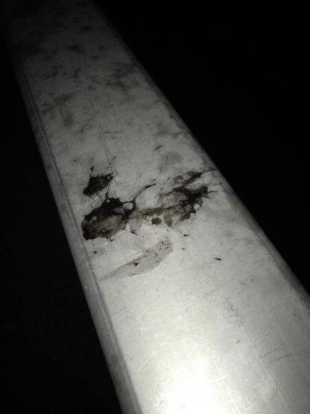 平日ライトエギング