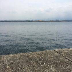 リベンジ出来ました(^ ^)