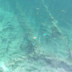 初ライトショアジギング