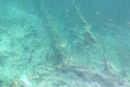 初ライトショアジギング