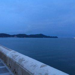 まだ早いかな？