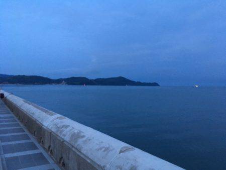 まだ早いかな？