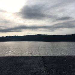 初シイラゲーム！&カマッシング