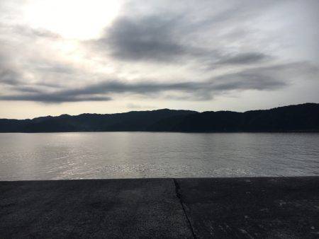 初シイラゲーム！&カマッシング