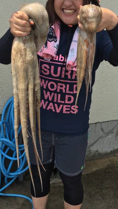 明石タコ大量ゲット！