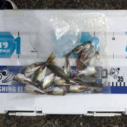 リハビリアジング。