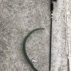 チヌポッパー宮川