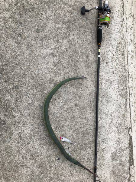 チヌポッパー宮川