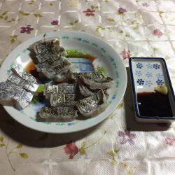 タチウオ釣れてますよーー