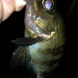 久しぶりのホーム