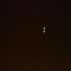 アジ！イワシ！