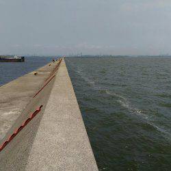 【武庫川一文字】