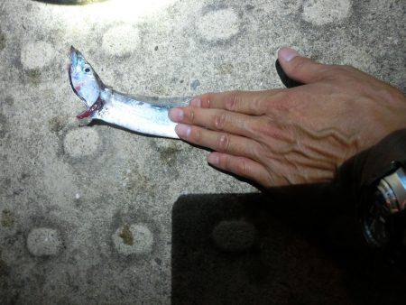 大潮満潮時の海水の上昇には気を付けてね