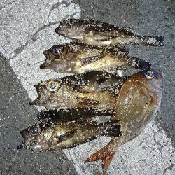 大阪からの帰りに、