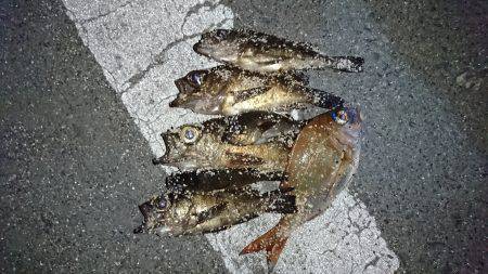 大阪からの帰りに、