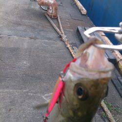 久しぶりの投稿＆停泊船ゲ―ム