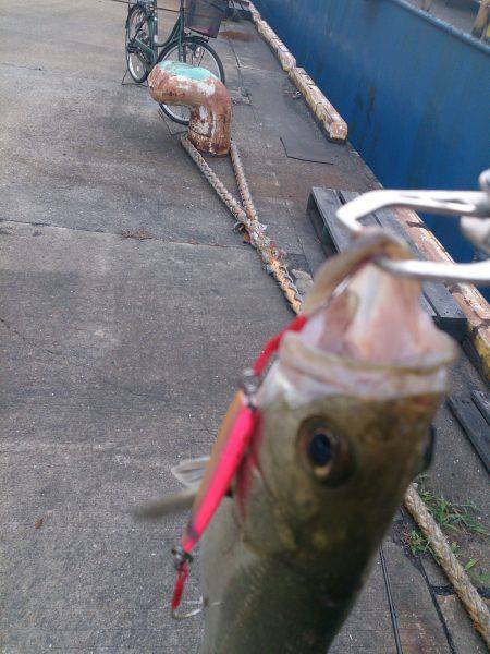 久しぶりの投稿＆停泊船ゲ―ム