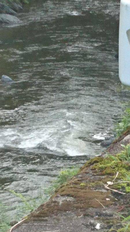 大増水で・・・