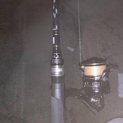 夕涼みナマジング