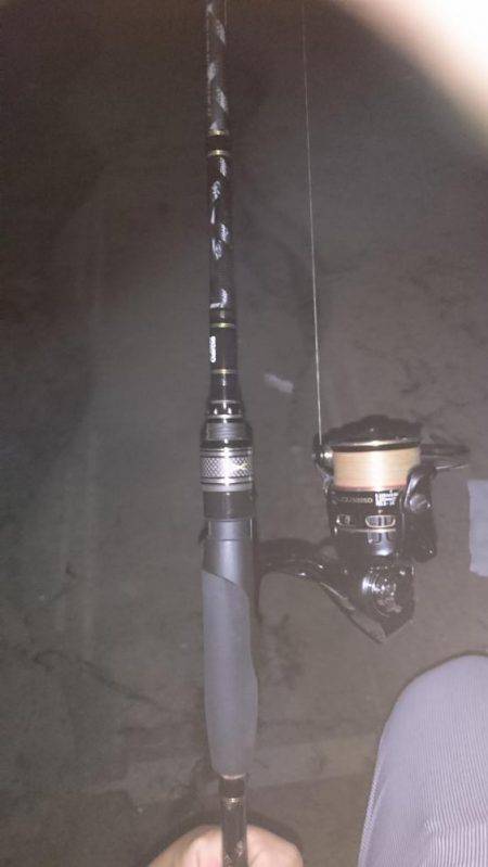 夕涼みナマジング