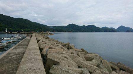 快晴！蝉！そして、ナブラ！