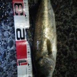 初上陸、横浜沖堤防!!