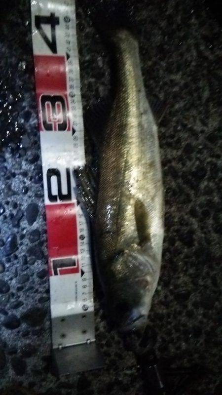 初上陸、横浜沖堤防!!