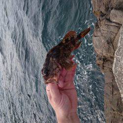 ホテルでフィッシング