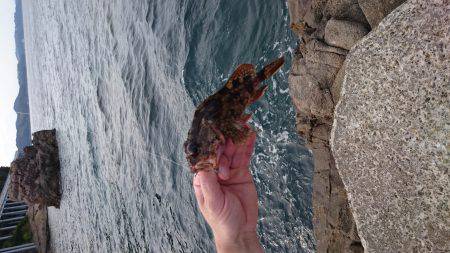 ホテルでフィッシング