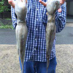 ファミリーフィッシング