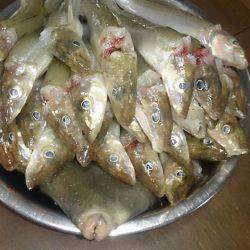 暑いなかバクチョウ