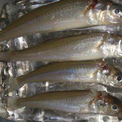 二桁は難しいかな