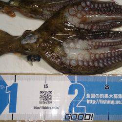 マッチョなあいつ