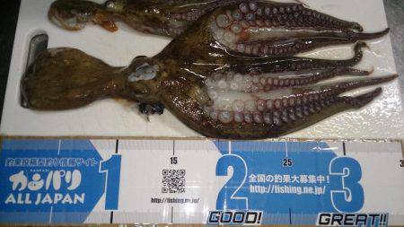 マッチョなあいつ