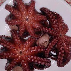 タコ飯にしよう！