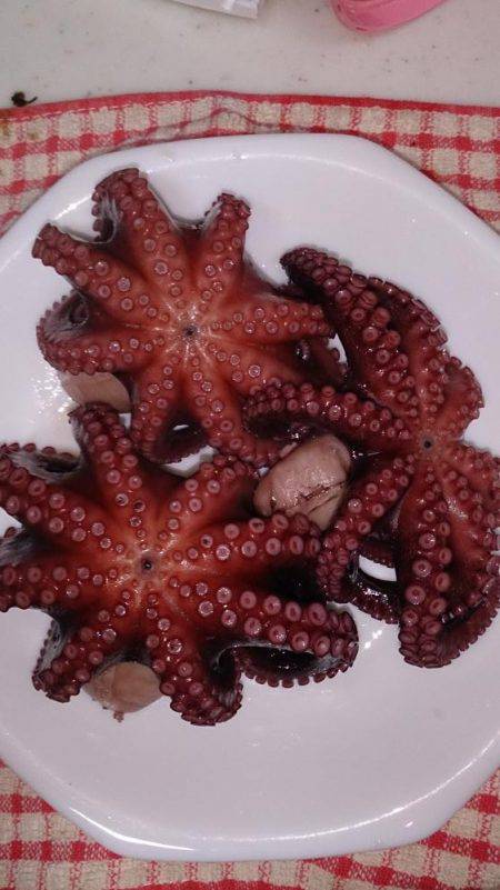 タコ飯にしよう！