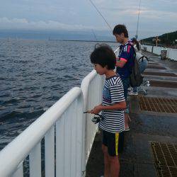 豆アジ大漁＆サバも大きくなってきた