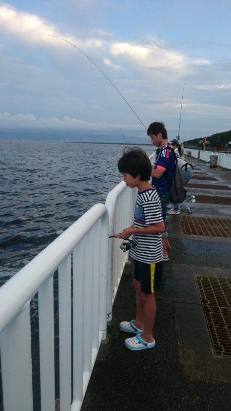 豆アジ大漁＆サバも大きくなってきた