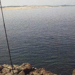 サンバソウの数釣り