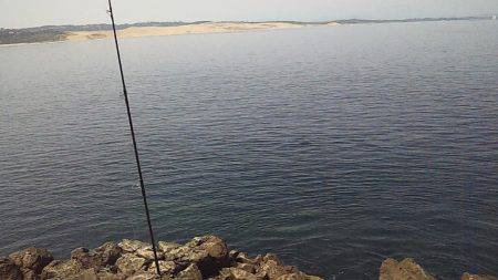 サンバソウの数釣り