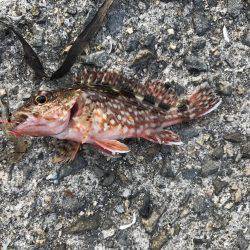 タイミング良く…