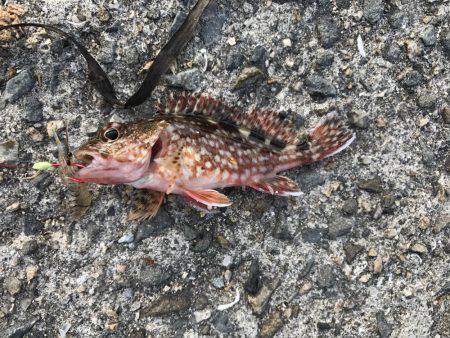 タイミング良く…