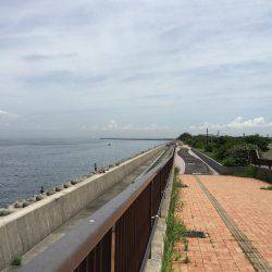 ニューロッド入魂